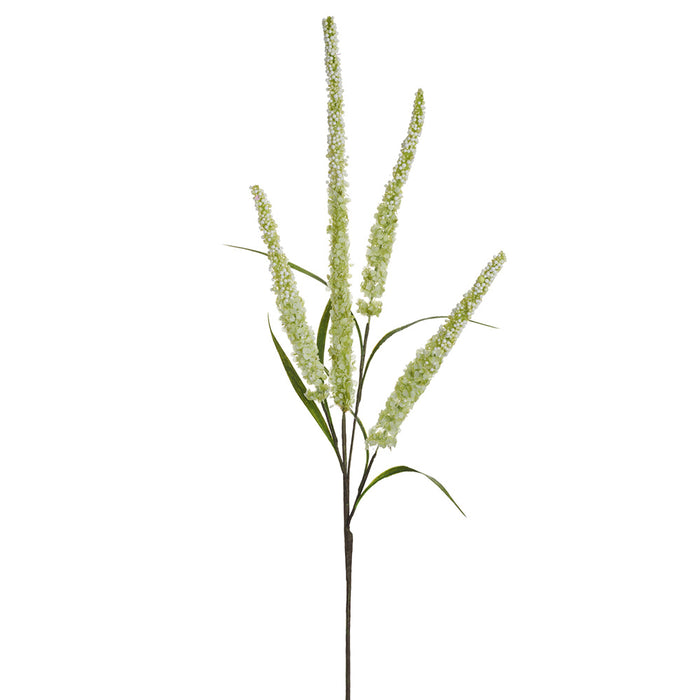 34" Silk Veronica Flower Stem -Cream/Green (pack of 12) - FSV949-CR/GR