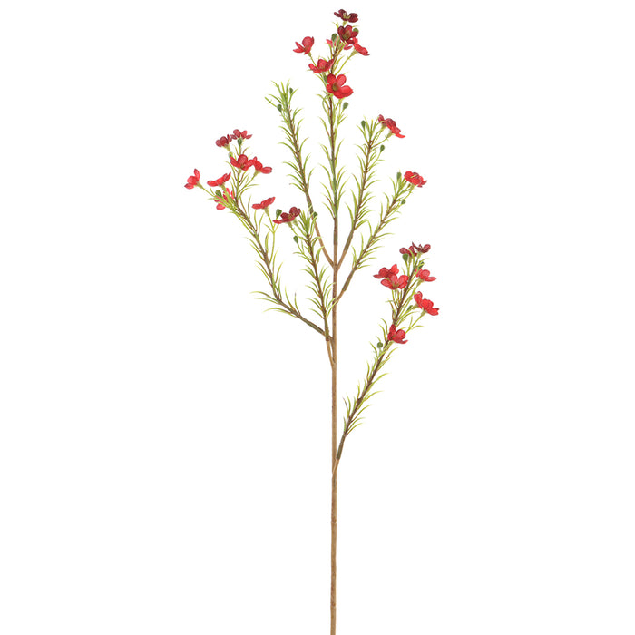 23.75" Silk Waxflower Stem -Red (pack of 12) - FSW028-RE