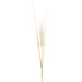 32" Plastic Wheat Grass Artificial Flower Stem -Cream (Pack of 12) - FSW300-CR