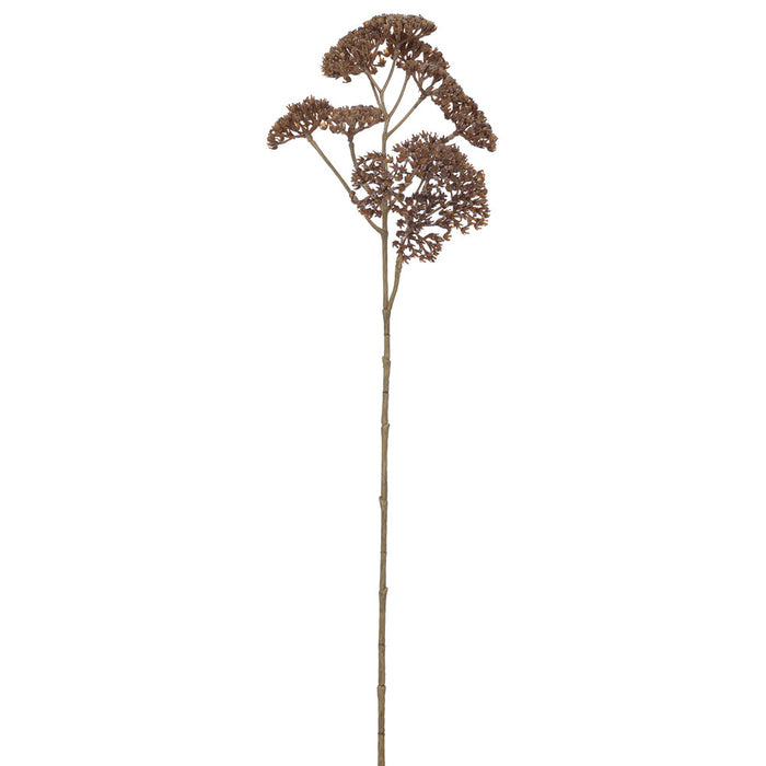 21" Yarrow Artificial Flower Stem -Brown (pack of 12) - FSY860-BR