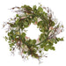 24" Amaryllis, Queen Anne's Lace & Eucalyptus Leaf Silk Flower Wreath -Coral/Green (Pack of 2) - FWA825-CO/GR