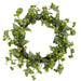 20" Crabapple Artificial Wreath -Green (Pack of 2) - FWB001-GR