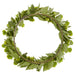 22" Hops Artificial Wreath -Green (Pack of 4) - FWH114-GR