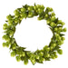 22" Hops Artificial Wreath -Green (Pack of 4) - FWH114-GR