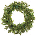 24" PE Sedum Artificial Wreath -Cream/Green - FWS416-CR/GR