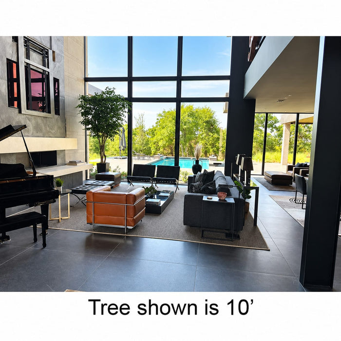 12' Custom-Made IFR Commercial Artificial Ficus Tree w/Pot -Green - GR12