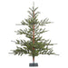 5'Hx54"W PE Bed Rock Pine Artificial Christmas Tree, Unlit -Green/Brown - G152250