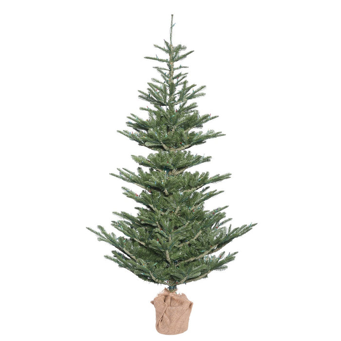 5'Hx40"W PE Alberta Spruce Artificial Christmas Tree w/Burlap Base, Unlit -Green - G160250