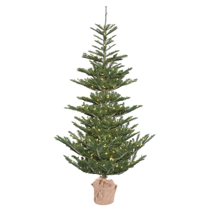 5'Hx40"W PE Alberta Spruce Artificial Christmas Tree w/Burlap Base, LED Pre-Lit -Green - G160251LED