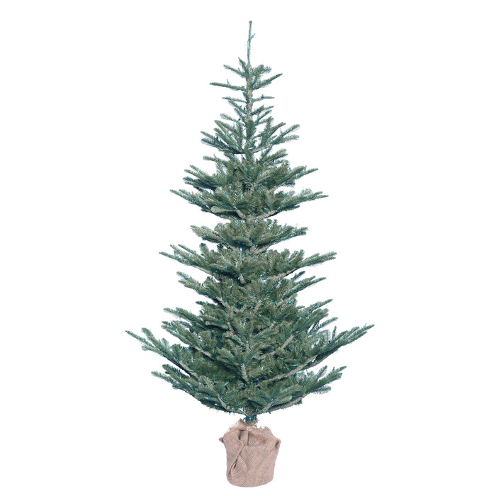 5'Hx40"W PE Alberta Blue Spruce Artificial Christmas Tree w/Burlap Base, Unlit -Green - G160450