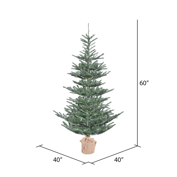 5'Hx40"W PE Alberta Blue Spruce Artificial Christmas Tree w/Burlap Base, LED Pre-Lit -Green - G160451LED