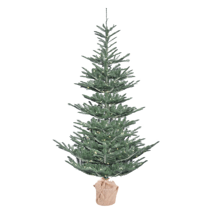 4'Hx32"W PE Alberta Blue Spruce Artificial Christmas Tree w/Burlap Base, LED Pre-Lit -Green - G160441LED