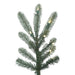 6'Hx48"W PE Alberta Blue Spruce Artificial Christmas Tree, LED Pre-Lit -Green - G160461LED