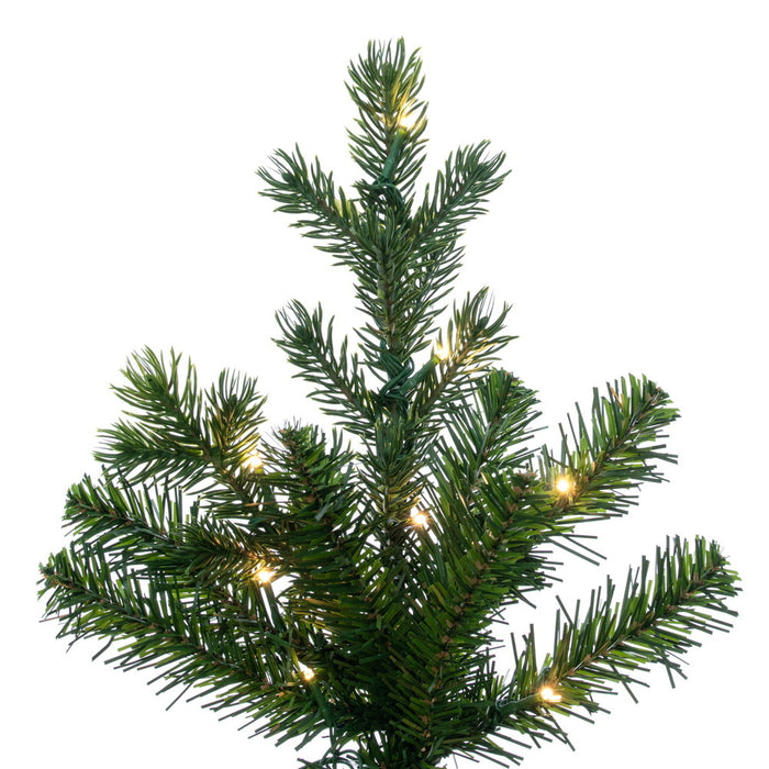 6'6"Hx34"W PE Slim Eagle Fraser Artificial Christmas Tree, Micro LED Pre-Lit (Multi-Mode) -Green - G170168LEDCC