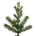 7'6"Hx38"W PE Slim Eagle Fraser Artificial Christmas Tree, LED Pre-Lit -Green - G170176LED
