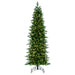 12'Hx49"W PE Slim Eagle Fraser Artificial Christmas Tree, LED Pre-Lit -Green - G170191LED