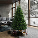 6'6"Hx49"W PE Eagle Fraser Artificial Christmas Tree, Unlit -Green - G170365