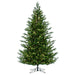 6'6"Hx49"W PE Eagle Fraser Artificial Christmas Tree, LED Pre-Lit -Green - G170366LED
