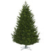 14'Hx100"W PE Eagle Fraser Artificial Christmas Tree, Unlit -Green - G170395
