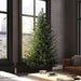 7'6"Hx55"W PE Eagle Fraser Artificial Christmas Tree, LED Pre-Lit -Green - G170376LED