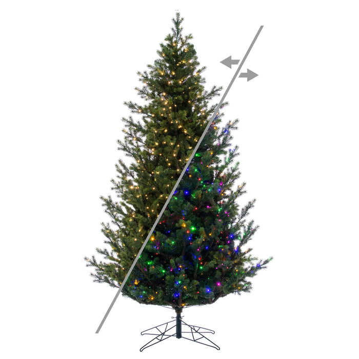 12'Hx85"W PE Eagle Fraser Artificial Christmas Tree, Micro LED Pre-Lit (Multi-Mode) -Green - G170393LEDCC