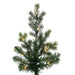 10'Hx73"W PE Eagle Fraser Artificial Christmas Tree, Micro LED Pre-Lit (Multi-Mode) -Green - G170388LEDCC