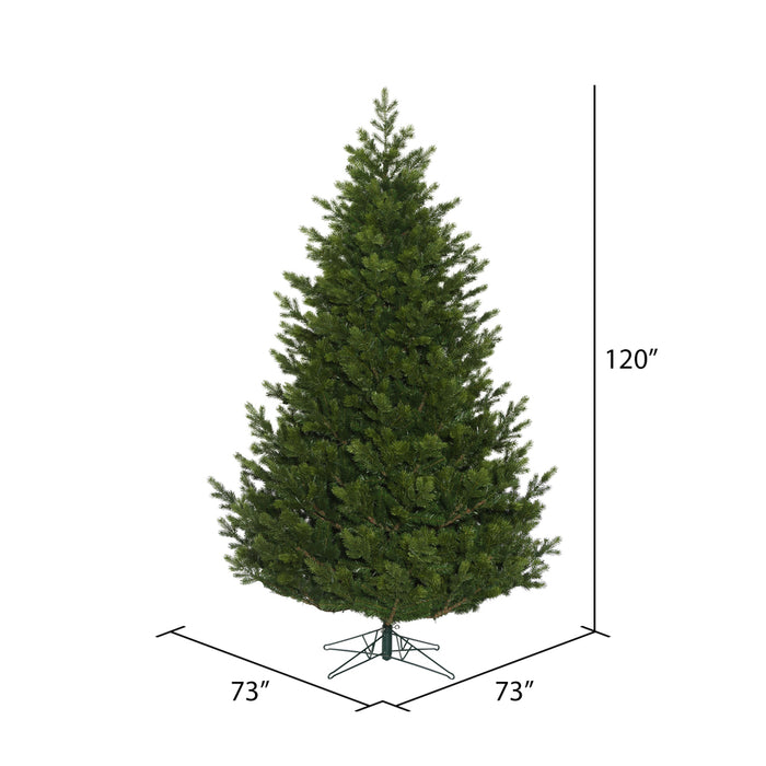 10'Hx73"W PE Eagle Fraser Artificial Christmas Tree, Unlit -Green - G170385