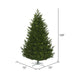 10'Hx73"W PE Eagle Fraser Artificial Christmas Tree, Unlit -Green - G170385