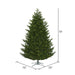 10'Hx73"W PE Eagle Fraser Artificial Christmas Tree, LED Pre-Lit -Green - G170386LED