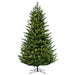 6'6"Hx52"W PE Welch Fraser Artificial Christmas Tree, LED Pre-Lit -Green - G183266LED