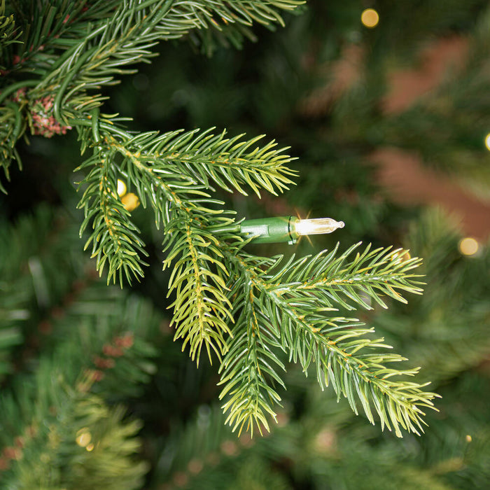 7'6"Hx58"W PE Welch Fraser Artificial Christmas Tree, LED Pre-Lit -Green - G183276LED