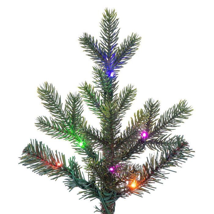 6'6"Hx52"W PE Welch Fraser Artificial Christmas Tree, Micro LED Pre-Lit (Multi-Mode) -Green - G183268LEDCC