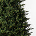 8'6"Hx64"W PE Welch Fraser Artificial Christmas Tree, LED Pre-Lit -Green - G183281LED