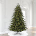 8'6"Hx64"W PE Welch Fraser Artificial Christmas Tree, LED Pre-Lit -Green - G183281LED