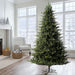 10'Hx73"W PE Welch Fraser Artificial Christmas Tree, LED Pre-Lit -Green - G183286LED