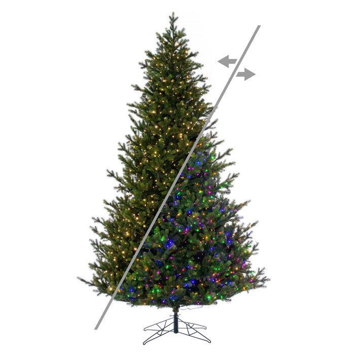 8'6"Hx64"W PE Welch Fraser Artificial Christmas Tree, Micro LED Pre-Lit (Multi-Mode) -Green - G183283LEDCC
