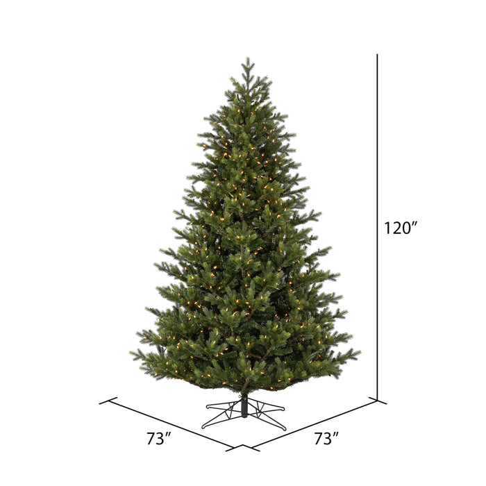 10'Hx73"W PE Welch Fraser Artificial Christmas Tree, LED Pre-Lit -Green - G183286LED