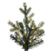 10'Hx73"W PE Welch Fraser Artificial Christmas Tree, Micro LED Pre-Lit (Multi-Mode) -Green - G183288LEDCC