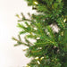 14'Hx60"W PE Pencil Moutauk Pine Artificial Christmas Tree, LED Pre-Lit -Green - G193496LED