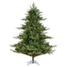 6'6"Hx63"W PE Sherwood Fir Artificial Christmas Tree, Unlit -Green - G204265