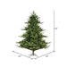 6'6"Hx63"W PE Sherwood Fir Artificial Christmas Tree, Unlit -Green - G204265