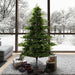 6'6"Hx63"W PE Sherwood Fir Artificial Christmas Tree, Unlit -Green - G204265