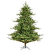 6'6"Hx63"W PE Sherwood Fir Artificial Christmas Tree, LED Pre-Lit -Green - G204266LED