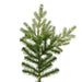 6'6"Hx63"W PE Sherwood Fir Artificial Christmas Tree, LED Pre-Lit -Green - G204266LED