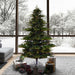 6'6"Hx63"W PE Sherwood Fir Artificial Christmas Tree, LED Pre-Lit -Green - G204266LED