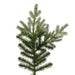 7'6"Hx67"W PE Sherwood Fir Artificial Christmas Tree, Unlit -Green - G204275
