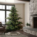 7'6"Hx67"W PE Sherwood Fir Artificial Christmas Tree, LED Pre-Lit -Green - G204276LED