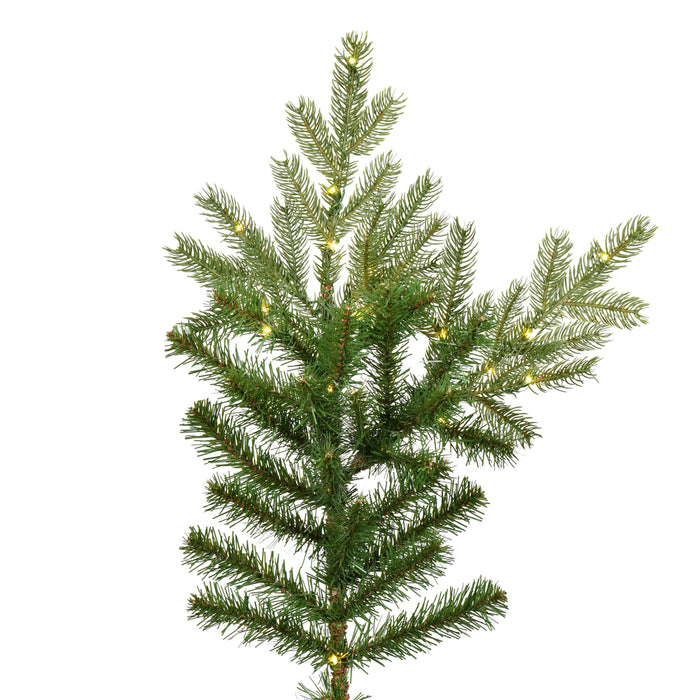 7'6"Hx67"W PE Sherwood Fir Artificial Christmas Tree, LED Pre-Lit -Green - G204276LED