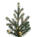 7'6"Hx67"W PE Sherwood Fir Artificial Christmas Tree, Micro LED Pre-Lit (Multi-Mode) -Green - G204278LEDCC