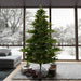 9'Hx81"W PE Sherwood Fir Artificial Christmas Tree, LED Pre-Lit -Green - G204281LED